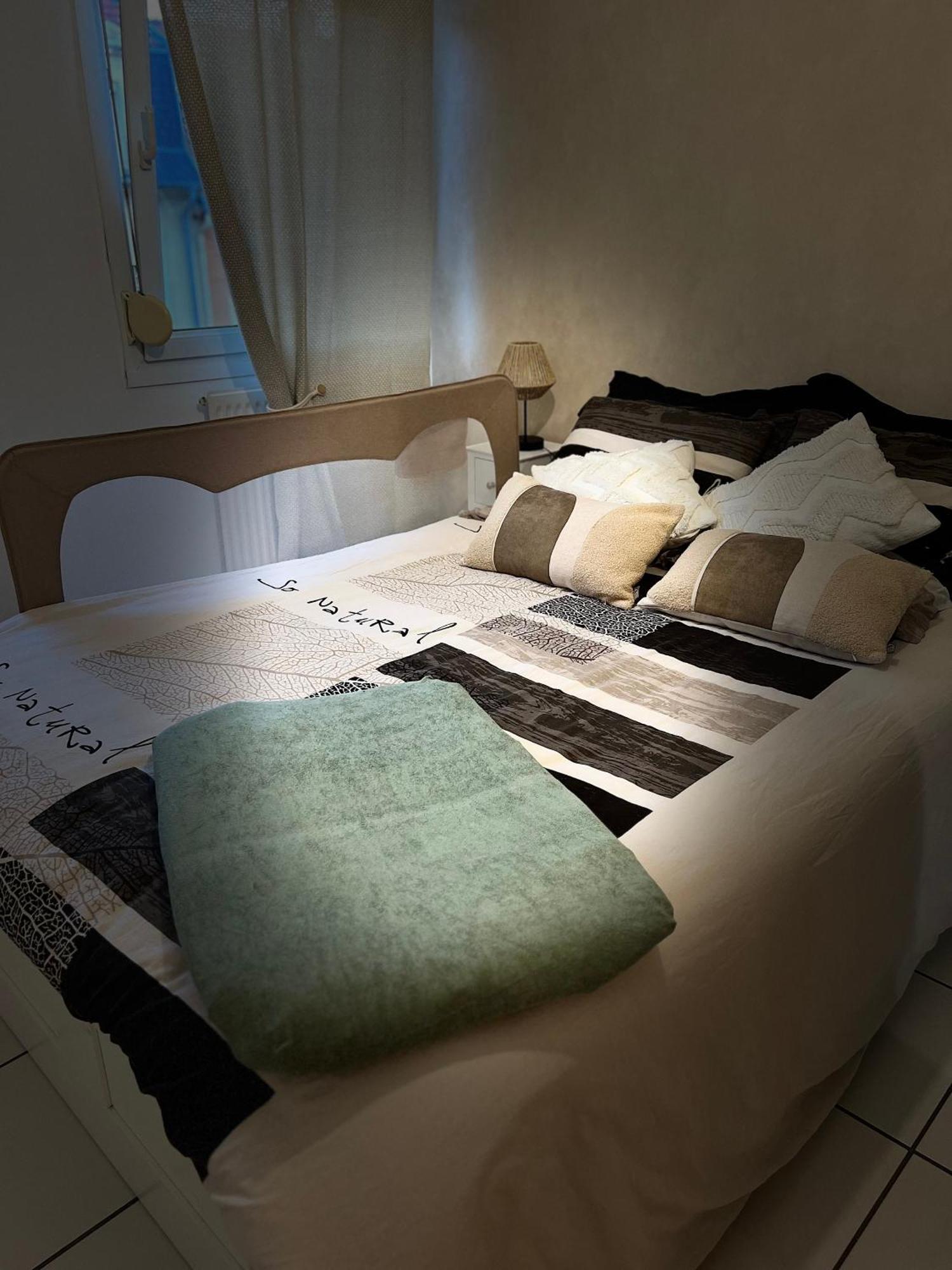 Appartement Le Marnie à Metz Extérieur photo